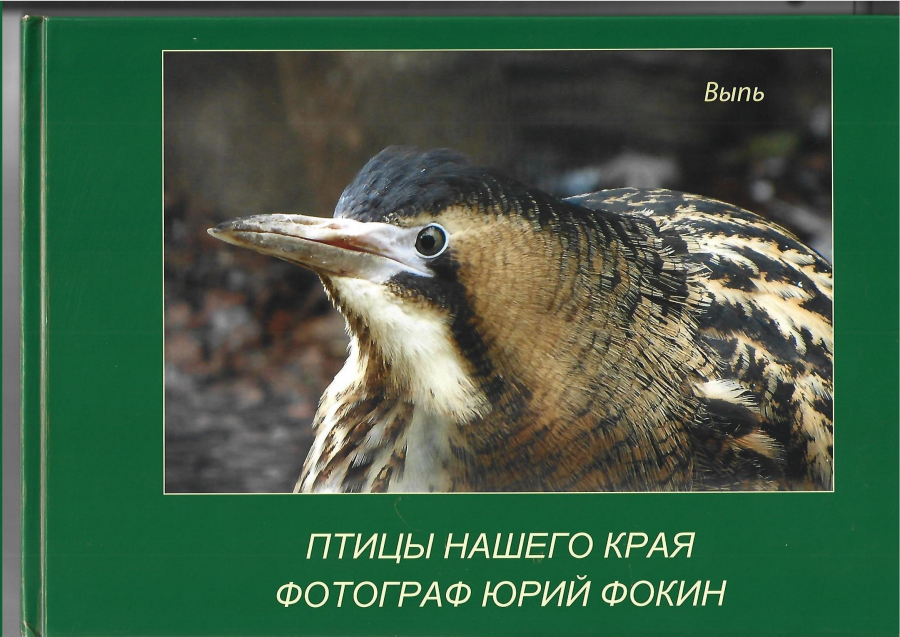 Фотокниги Юрия Фокина о птицах Воскресенского края читаем в разделе &quot;Литература&quot;