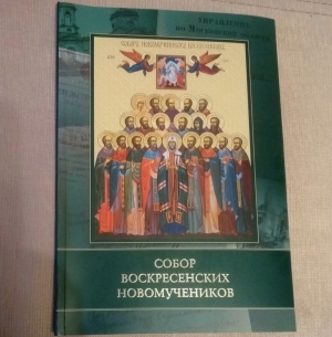 О книге «Собор воскресенских новомучеников»